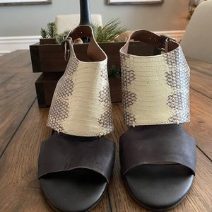 Lucky Brand snake skin print dark brown with cream color.